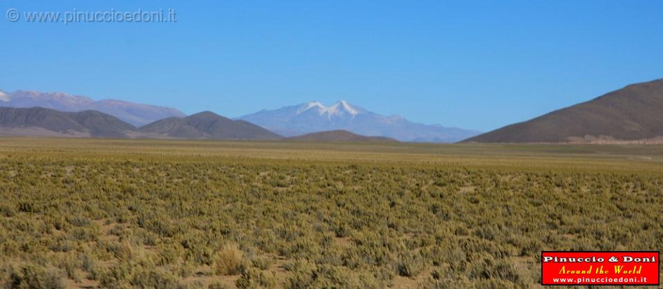 BOLIVIA - da Uyuni a Villamar - 44.jpg